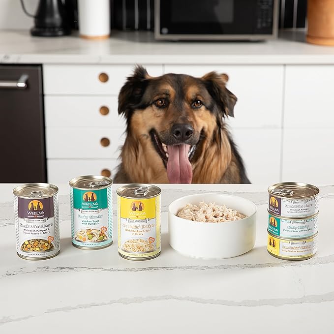 Weruva Classic Dog Food, Peking Ducken with Chicken Breast & Duck in Gravy, 14oz Can (Pack of 12)