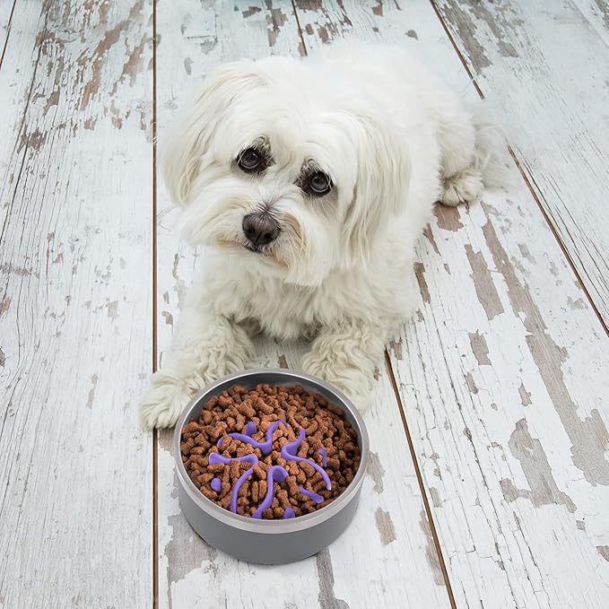 Jaoul Slow Feeder Dog Bowls Insert, Puzzle Slow Feeder Insert with 21 Octopus Suction Cups for Small Breed Dog Food Bowls (4 inch, Purple)