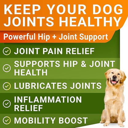 Glucosamine for Large Dogs - Joint Supplement Large Breed w/ Omega-3 Fish Oil - Chondroitin, MSM - Advanced Mobility Chews - Joint Pain Relief - Hip & Joint Care - Chicken Flavor - 360Ct - Made in USA