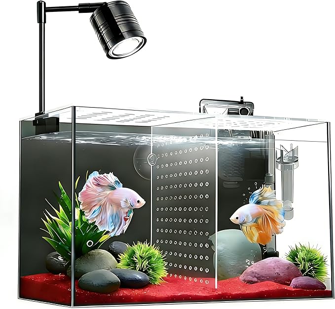 iPriro Fish Tank, 3 Gallon Ultra-Clear Glass Fish Aquarium, with Separator Plate for Betta, Fish Tank Starter kit with Filter and Led Light, Black