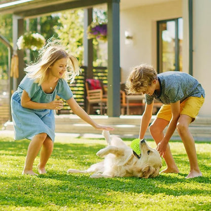 2.5" Squeaky Dog Balls for Small Medium Dogs, 6 Pack Small Dog Chew Toys with Spike, Puppy Toys for Teeth Cleaning and Training (Green 6 Pack)