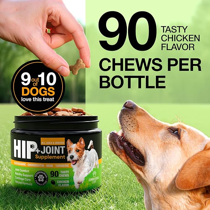 Glucosamine & Chondroitin for Dogs – Hip and Joint Supplement Chews with MSM, Vitamin C, Turmeric, Omega-3 for All Breeds – Pain & Mobility Support – 2-Month Supply – Chicken Flavor