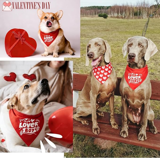 Dimidium Valentines Day Dog Bandanas 2 Pack, Love Pet Scarf for Boy & Girl Dogs, Premium Durable Fabric, Heart Bandana for Small & Medium Dogs (Medium)