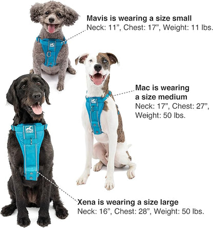 Kurgo Tru-Fit Smart Dog Walking Harness - Comfortable Fit - Adjustable Harness - Reflective Pet Wear - Quick Strap Release - Daily Walk Accessory - Includes Seat Belt Loop - Grey - X-Large