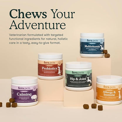 Fera Pets Hip & Joint Supplement for Dogs with Glucosamine, MSM, Chondroitin, & Green Lipped Mussel - Supports Healthy Joints and Weight Management - 10 Soft Chews