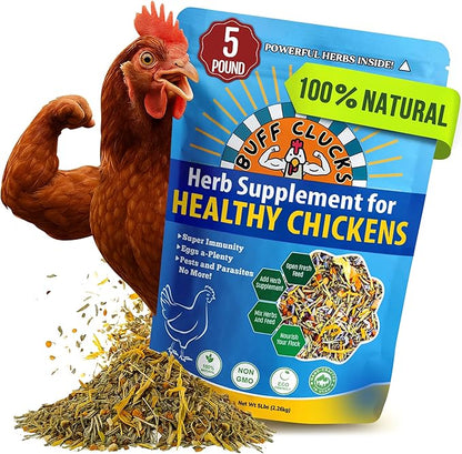 Buff Clucks Herb Supplement for Backyard Chickens - Natural Chicken Treats, Poultry Feed Botanical Mix, Plant-Based Coop Snacks for Daily Wellness, Feather Quality, Egg Production, USA (5 LB)