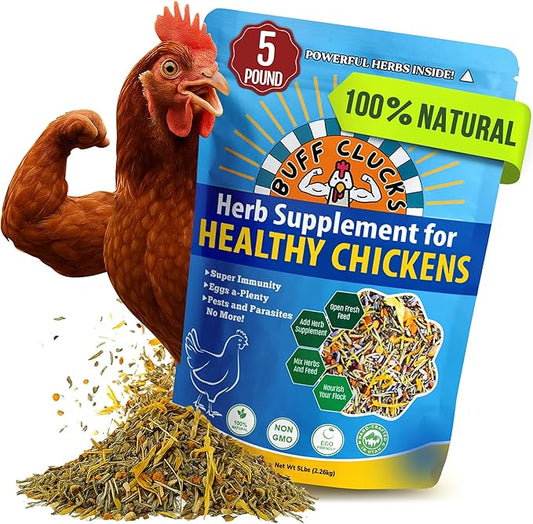 Buff Clucks Herb Supplement for Backyard Chickens - Natural Chicken Treats, Poultry Feed Botanical Mix, Plant-Based Coop Snacks for Daily Wellness, Feather Quality, Egg Production, USA (5 LB)