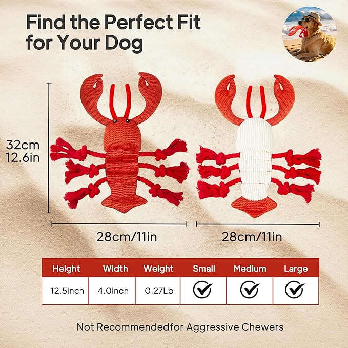 TwoEar Lobster Squeaky Dog Toys, Plush Chew Toy with Tug Rope for Small Medium Large Dogs, Interactive Stuffed Toys Indoor Outdoor Play