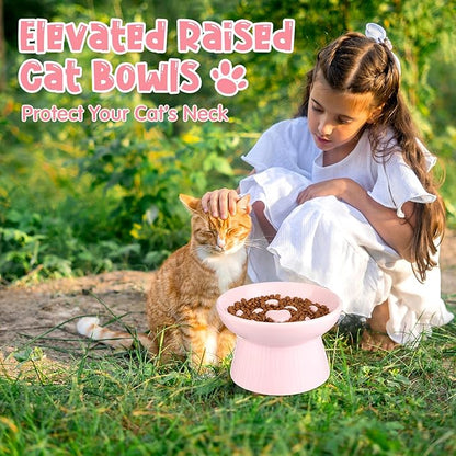 Tioncy 2 Pcs Raised Cat Slow Feeder Bowl Ceramic Elevated Cat Dog Food Bowl No Spill High Edge for Dry Wet Food and Water Easy to Clean, Dishwasher Safe(Pink, Dark Green)