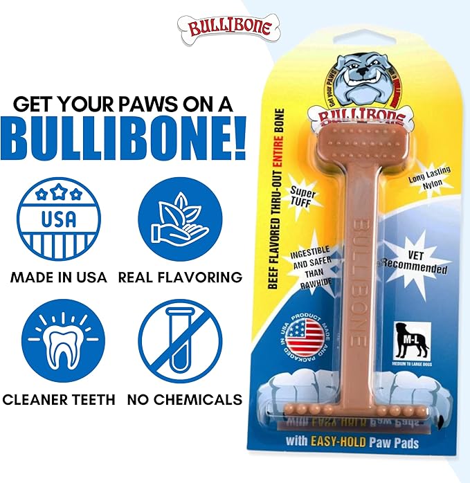 Bullibone Nylon Dog Chew Toy Nylon Bone - Improves Dental Hygiene, Easy to Grip Bottom, and Permeated with Flavor (Beef, Large - 2 Pack)