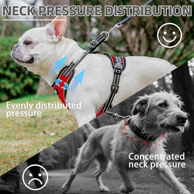 PUPTECK Dog Harness and Leash Set Small Sized, Adjustable Reflective Escape Proof Puppy Vest, No Pull Walking Harness Easy Control