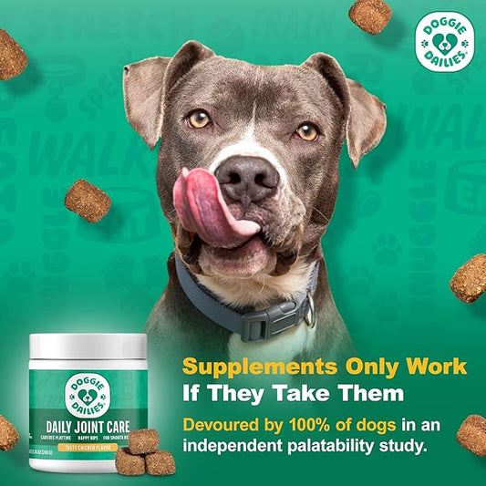 Doggie Dailies, Hip and Joint Supplement for Dogs, Glucosamine Chondroitin, Premium Hip and Joint Chews for Dogs All Breeds & Sizes, Dog Vitamins and Supplements, (Chicken) 225 Chews