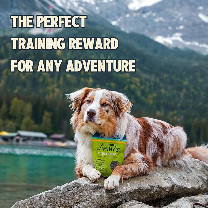 Jiminy's Chewy Cricket Dog Training Treats, Low Calorie, Hypoallergenic, 6oz, Sweet Potato & Pea (Pack of 1)