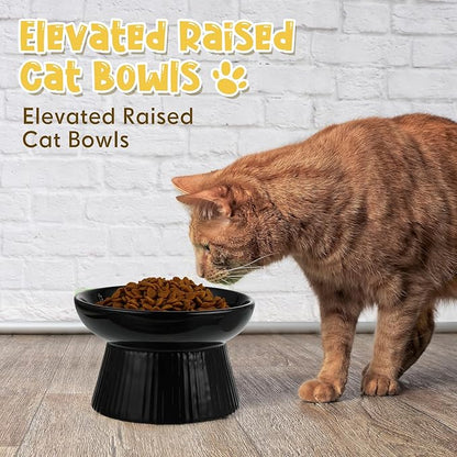 Tioncy 2 Pcs Raised Cat Slow Feeder Bowl Ceramic Elevated Cat Dog Food Bowl No Spill High Edge for Dry Wet Food and Water Easy to Clean, Dishwasher Safe(Black, White)