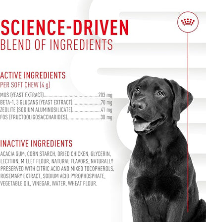 Royal Canin Digestive Dog Supplement Soft Chews for Adult Dogs, 60 Count (Pack of 4)