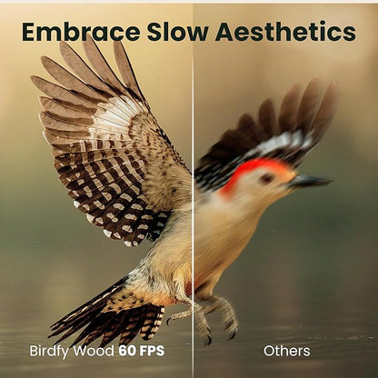 Birdfy Smart Bird Feeder with Camera Solar Powered, Night Insight & Slow-Motion Video for Outdoors & Backyard Birds Watching, AI Identify 6000+ Species by Subscription, Wood