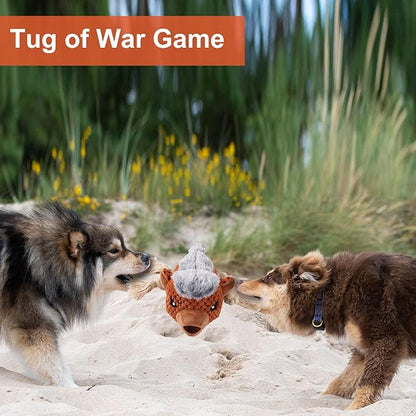 Dog Toys - Squeaky Interactive Plush Dog Toy with Rope, Chew Toy for Large Dogs, Small Dogs & Puppies - Tug of War Dog Toy for Aggressive Chewers, Pet Toys for Dogs