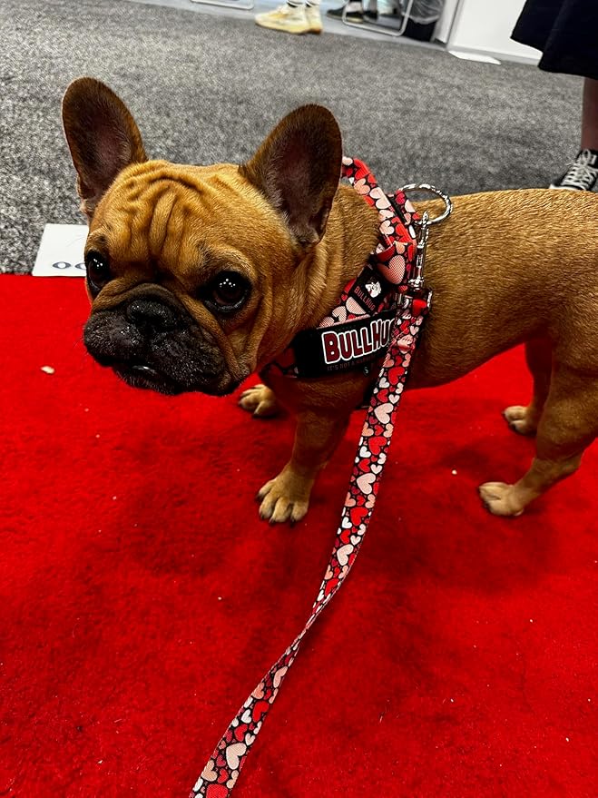 BULLHUG Adjustable Dog Harness– No Pull, No Choke – for English Bulldogs, French Bulldogs, Pugs & Broad-Chested Breeds – Easy, Safe Walks (Heart Beat, Large)