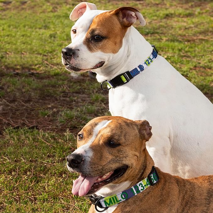 Pawtitas Personalized Dog Collar LargeDog Collar Embroider Name Phone Number Puppy Collar Adjustable Customized Collar for Large Dogs Breeds Multicolor Dog Collar