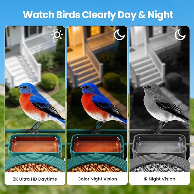 Smart Bird Feeder with Camera Solar Powered : 2K HD Live View, AI Bi rd Identification ＆ Instant Alerts, Weatherproof Smart Camera Bird Houses for Outside Garden - Gifts for Women, Green