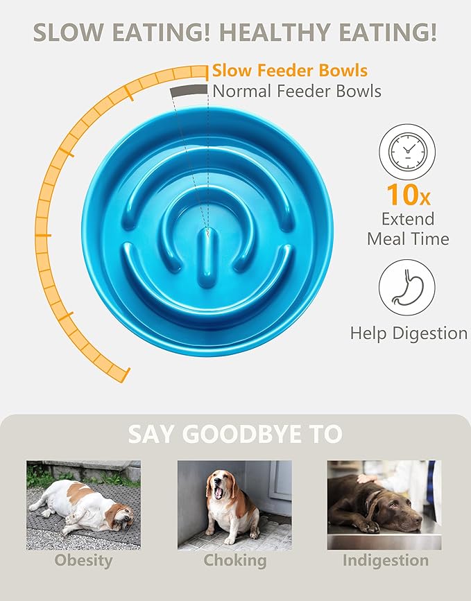 Ceramic Slow Feeder Dog Bowls Elevated, 0.6 Cup Slow Feeder for Small Dogs and Cats, Puzzle Maze Bowl, Prevents Choking, 6in, Blue