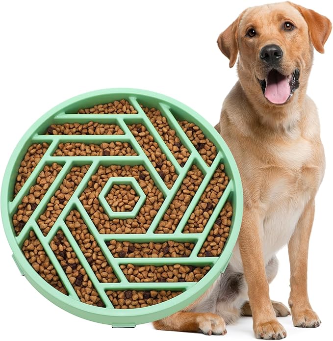 WHIPPY Slow Feeder Dog Bowl, Puzzle Maze Design to Slow Down Eating, 3-Cup Capacity, Anti-Gulping Food Bowl for Medium & Large Dogs,Mint Green