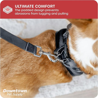 Downtown Pet Supply Step-in Dog Harness – No Pull, Adjustable Padded Mesh with Reflective Trim, Secure Buckle Strap – Comfortable & Breathable Small Dog Harness, X-Small, Charcoal