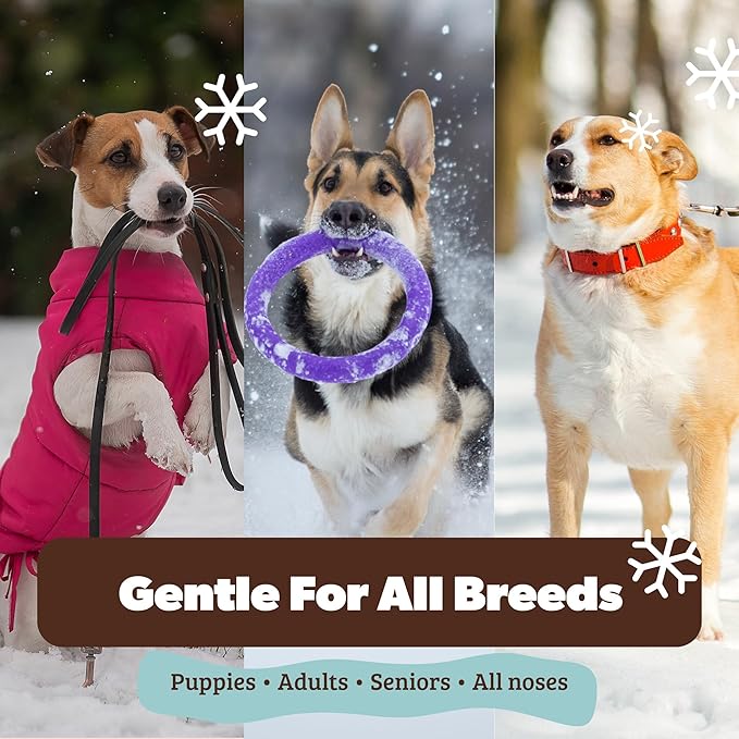 Natural Dog Company Snout Soother Balm – Dog Nose Balm for Dry Cracked Snouts, Moisturizing Winter Nose Care with Coconut Oil & Shea Butter, Lick Safe Dog Snout Balm for All Breeds, 1 oz Tin