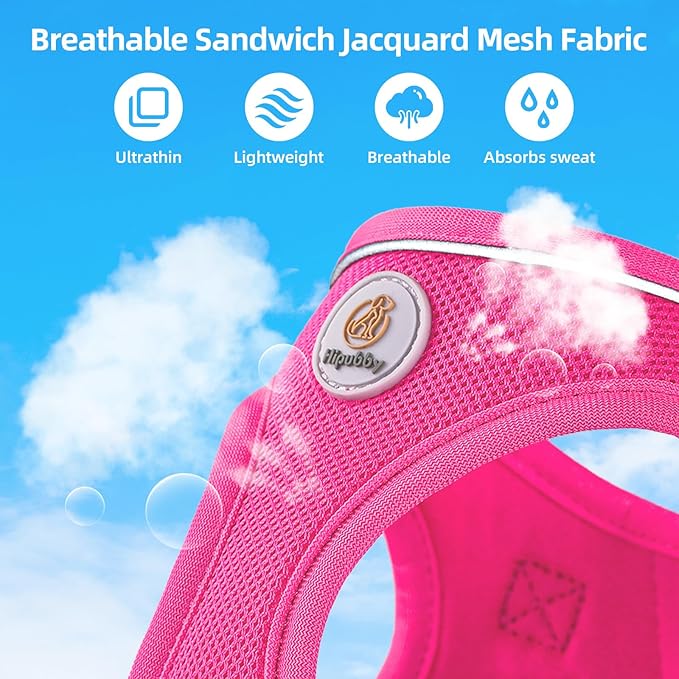 Hipubby Dog Harness and Leash Set, No Pull Soft Mesh Puppy Harness for Small Medium Dogs, Cats - Step in Reflective Breathable Lightweight Vest Harness for Walking, Training - Rose Red, S
