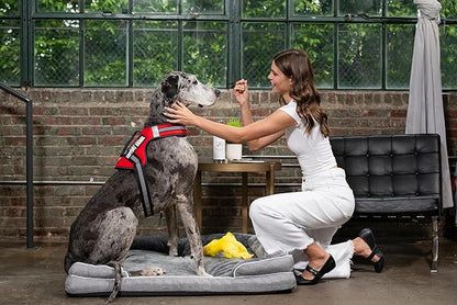 Support Pets The Only Official ESA™ Dog Harness – Adjustable No-Pull Dog Vest for Easy Pet Recognition with Reflective Straps – Soft, Padded & Comfortable for Training and Daily Use - Large