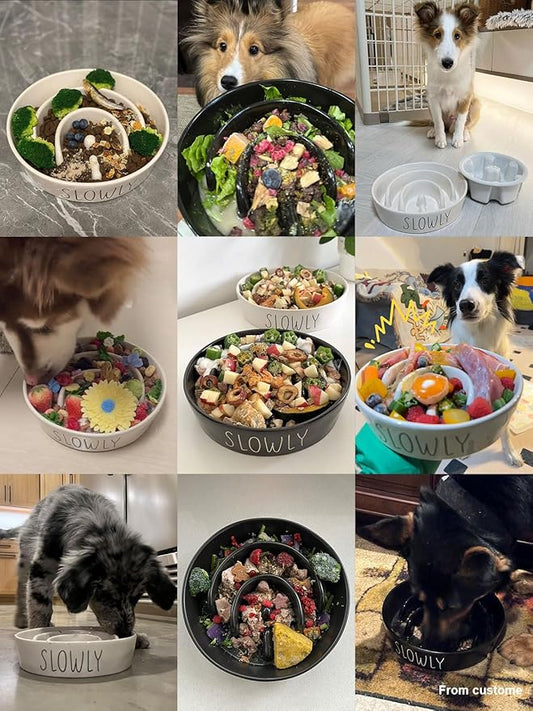 Slow Feeder Dog Bowl - 1.5 Cups Ceramic Puzzle Feeder for Small & Medium Breeds, Maze Design Pet Dish for Puppy & Fast Eaters, Black Non-Slip Bowl to Control Eating Speed