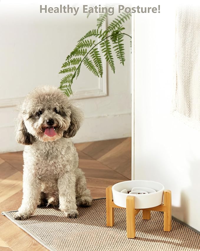 Ceramic Slow Feeder Dog Bowls Elevated, 0.6 Cup Slow Feeder for Small Dogs and Cats, Puzzle Maze Bowl, Prevents Choking, 6in, White