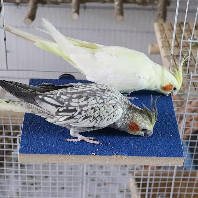 Dnoifne 7.9×5.9 Inches Large Bird Perch Stand Platform, Natural Wooden Bird Cage Accessories, Bird Stand Perch with Rough Quartz Sand Surface for Parrot, Parakeet, Budgies, Cockatiel, Rats