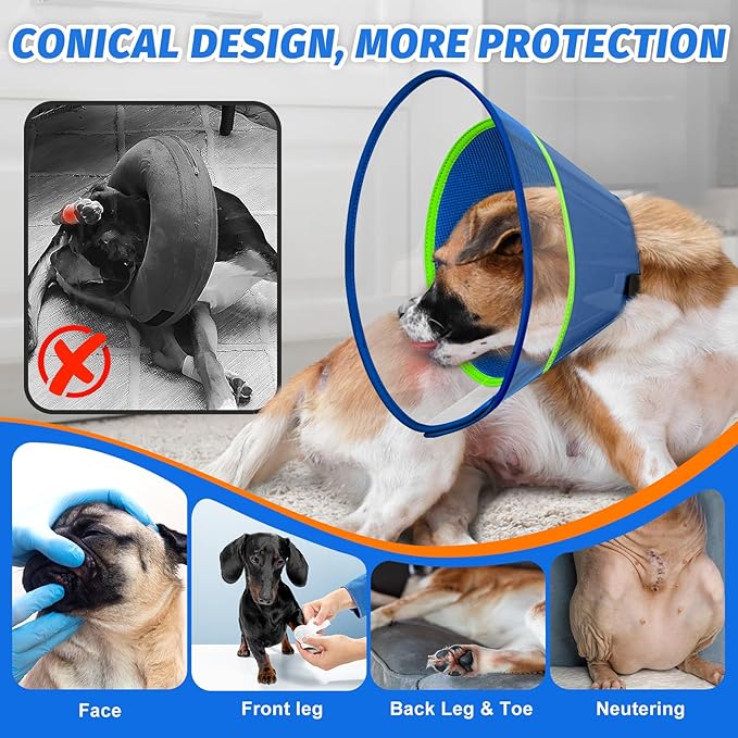 Dog Cone Collar with Soft Liner to Stop Licking, Elizabeth Recovery Collar After Surgery for Large Medium Dogs, Comfortable Pet Head Cone Alternative for Neutering Spay Injury (M)