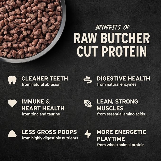 Vital Essentials Freeze-Dried Raw Beef Crunchy Mini Nibs | Complete Meal or Mixer Dog Food | 14 oz