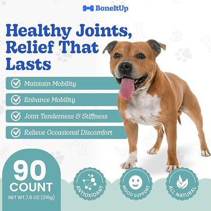 BoneItUp Soft Dog Joint Support Supplement Chews for Aging, Large & Overweight Pets - Glucosamine, Chondroitin, MSM & Omega - Advanced Hip & Joint Supplement for Dogs - Pet Bone Support Treats (90 Ct)