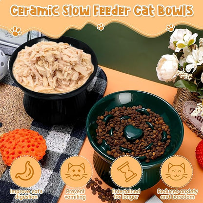 Tioncy 2 Pcs Raised Cat Slow Feeder Bowl Ceramic Elevated Cat Dog Food Bowl No Spill High Edge for Dry Wet Food and Water Easy to Clean, Dishwasher Safe(Dark Green, Black)