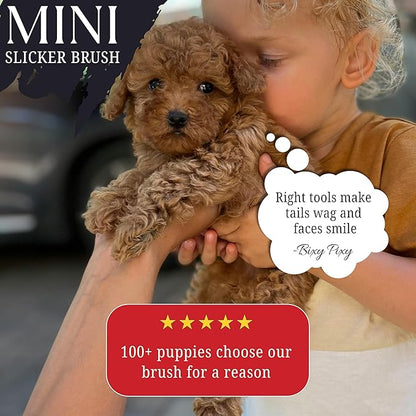 Mini Brush for Dogs and Cats - Coated Tips Massage Skin - Long Pins Remove Mats, Tangles in Long and Poodle Fur