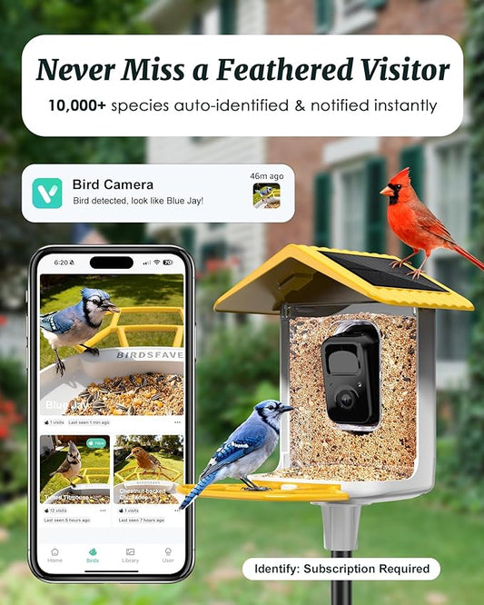 BIRDSFAVE-Bird Feeder with Camera Solar Powered, 2K Clear Live/Video/Photo Auto Arrival Alerts AI Identify Smart Cameras Birds Feeders with 32GB Card DIY Add-ons, 2.4G WiFi Wireless Birdwatching Gift