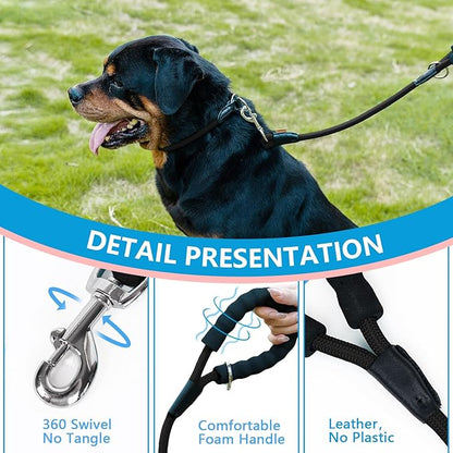 Dog Leash, Braided Rope Traction – Walking Training Lead for Small Dogs ((1/3") x 6FT, Black)