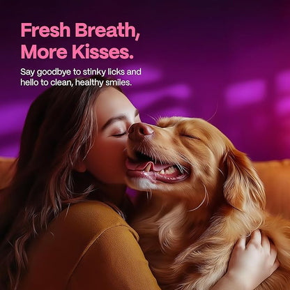 DOCO Dog Teeth Cleaning Wipes Dental Finger Wipes for Cats & Dogs Remove Plaque & Tartar, Freshen Breath, No Rinse, Easy & Effective Pet Tooth Cleaning Kit for Oral Care (Bacon Flavor, 100 Count)