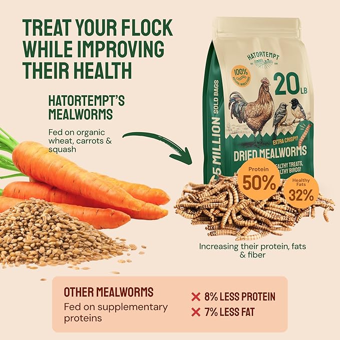 Hatortempt Dried Mealworm Bird Food - 20 lb Bulk Pack - High Protein Poultry & Chicken Feed Supplement - Also Nutritious as Duck Food, Wild Bird Feed & Quail Treats