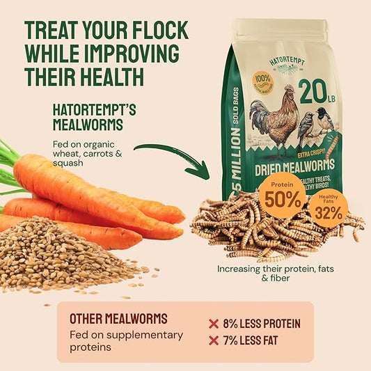 Hatortempt Dried Mealworm Bird Food - 20 lb Bulk Pack - High Protein Poultry & Chicken Feed Supplement - Also Nutritious as Duck Food, Wild Bird Feed & Quail Treats