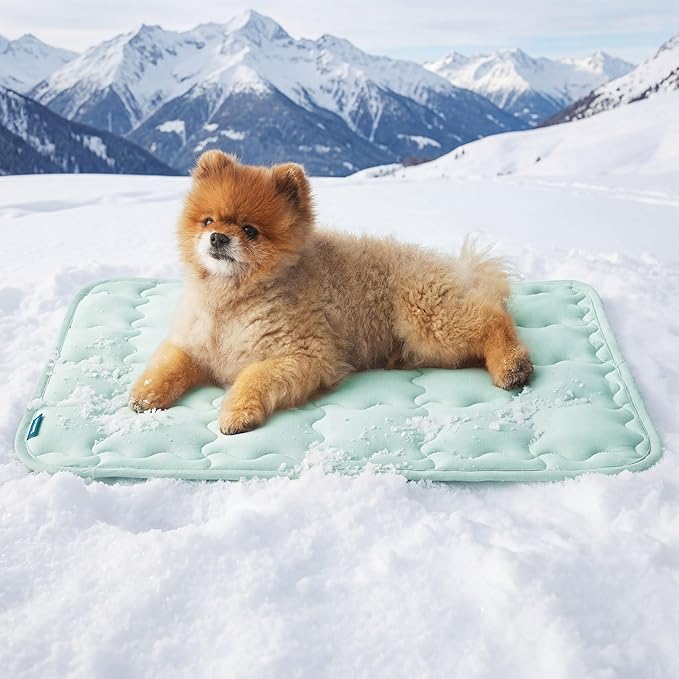 Bedsure Cooling Mat for Small Dog, Q-Max>0.5 Thin Breathable Cold Crate Pad for Puppy and Cat, Portable Washable Kennel Bed for Active Pet with Chill Soothing Fabric to Rapid Cooling, 24x18, Green