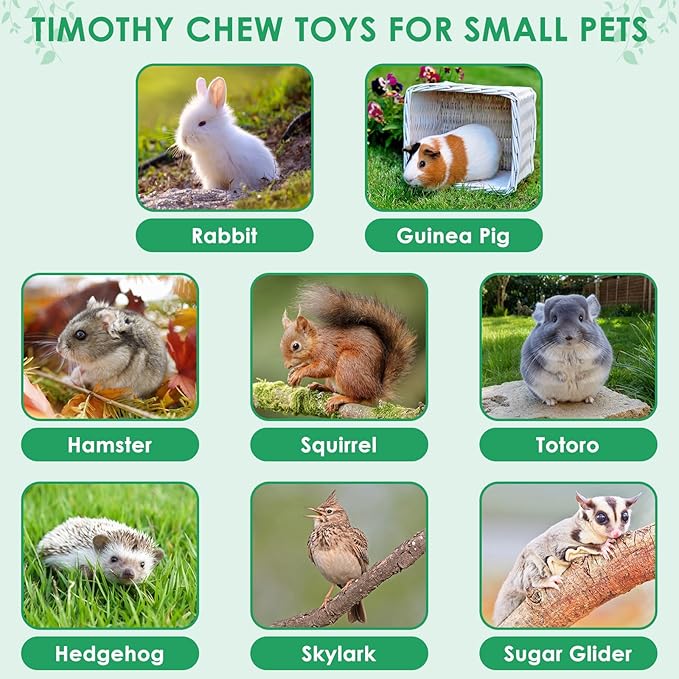 ERKOON 106PCS Bunny Chew Toys for Rabbits Teeth, Natural Rabbit Toys Apple Wood Sticks, Carrot, Timothy Grass Treats for Small Pets, Hamster, Chinchilla, Guinea Pig Dental Care and Treat Teething Toys