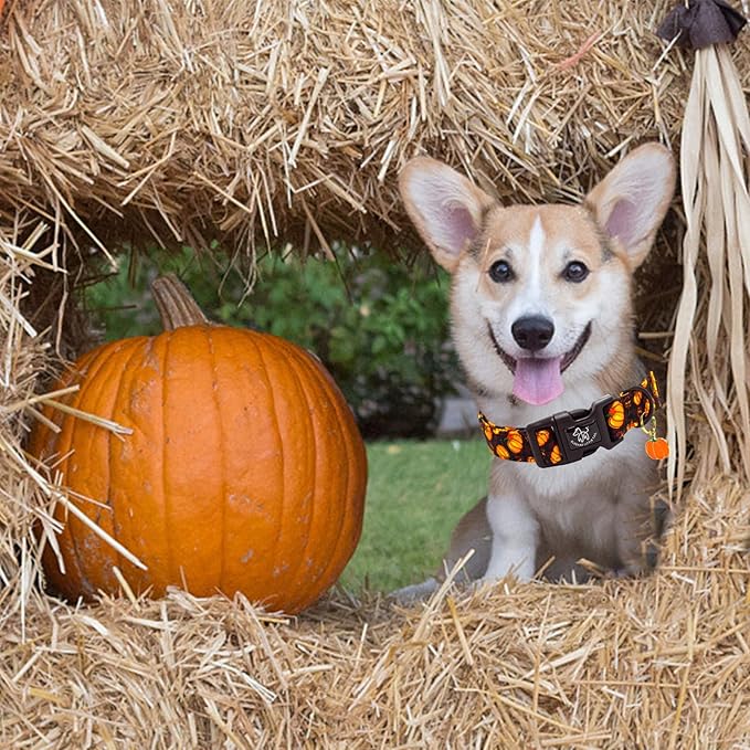 Elegant little tail Halloween Dog Collar, Pumpkin with Maple Leaf Print Fall Pet Collars Cotton Soft Sturdy Puppy Collars Holiday Female Adjustable Collar for X-Small Puppy