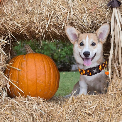 Elegant little tail Halloween Dog Collar, Pumpkin with Maple Leaf Print Fall Pet Collars Cotton Soft Sturdy Puppy Collars Holiday Female Adjustable Collar for X-Small Puppy