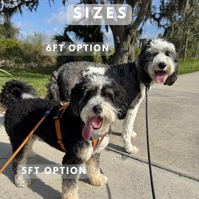 ShawnCo Basecamp Rope Dog Leash- Premium, Durable Pet Leash with Soft Neoprene Padded, Reflective Handle for Small, Medium and Large Dogs (Driftwood, 5 Feet)