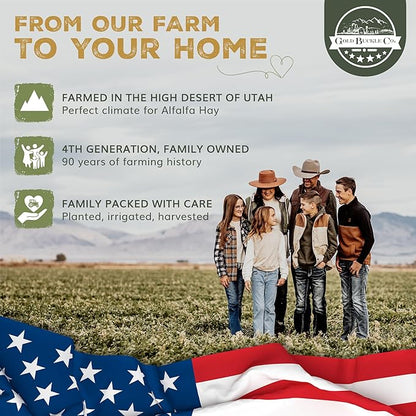 Gold Buckle Co 9lb Farm Fresh, USA Grown, Organic Alfalfa Hay for Rabbits, Guinea Pigs, Chinchillas, Goats, Hamsters & Ferrets - Rabbit Food Rich in Protein & Fiber - Just Dried, Hand-Selected