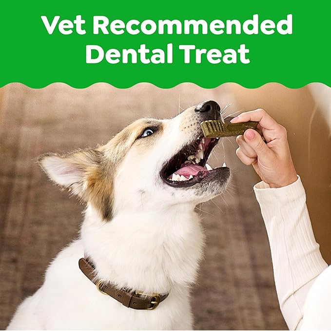 Greenies Veterinarian-Recommended Natural Dental Dog Treats Teenie Size, Original Flavor, 12 oz. Pack, 43 Count